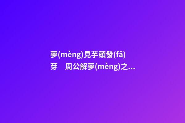 夢(mèng)見芋頭發(fā)芽　周公解夢(mèng)之夢(mèng)到芋頭發(fā)芽